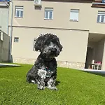 Apartmanhaz