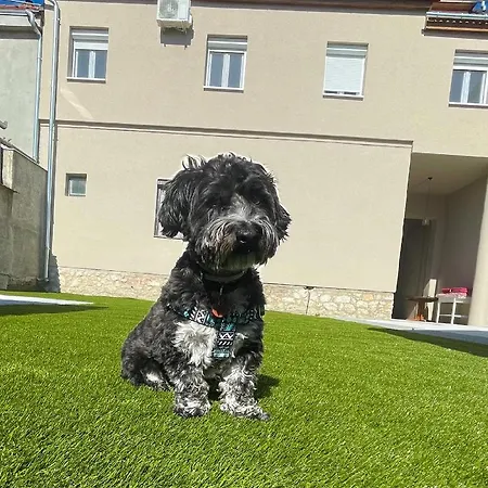 Apartmanhaz