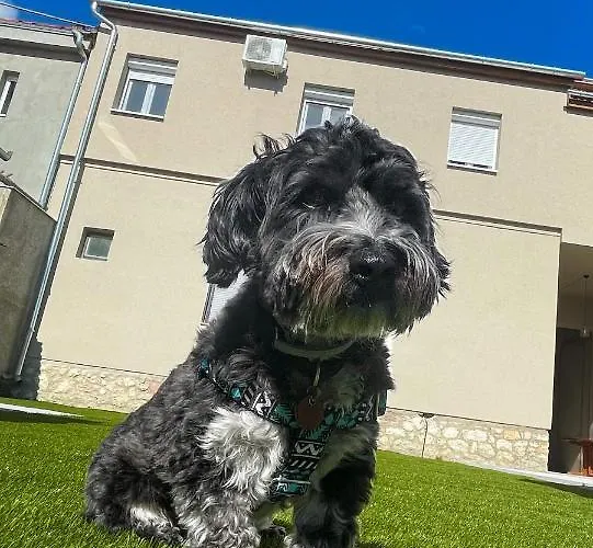 Apartmanhaz Apartman *